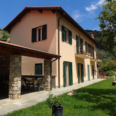 Agriturismo Turlin Vallebona Εξωτερικό φωτογραφία