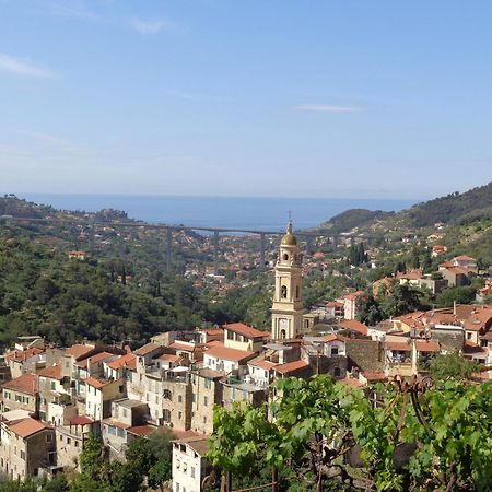 Agriturismo Turlin Vallebona Εξωτερικό φωτογραφία