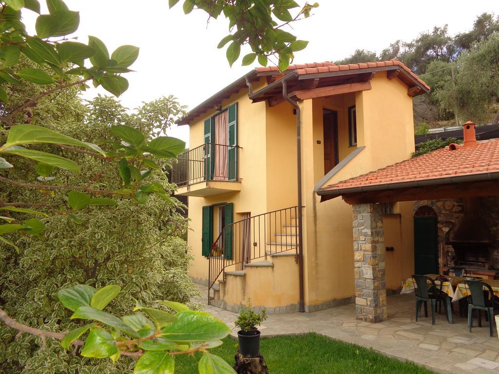 Agriturismo Turlin Vallebona Εξωτερικό φωτογραφία
