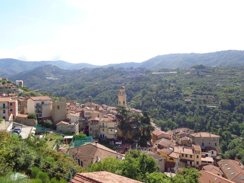 Agriturismo Turlin Vallebona Εξωτερικό φωτογραφία