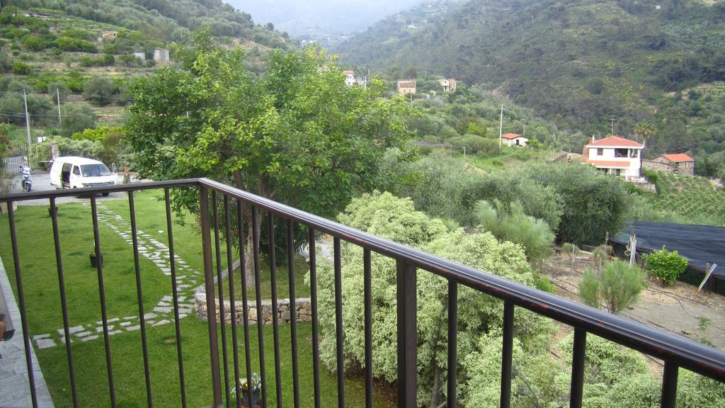 Agriturismo Turlin Vallebona Εξωτερικό φωτογραφία