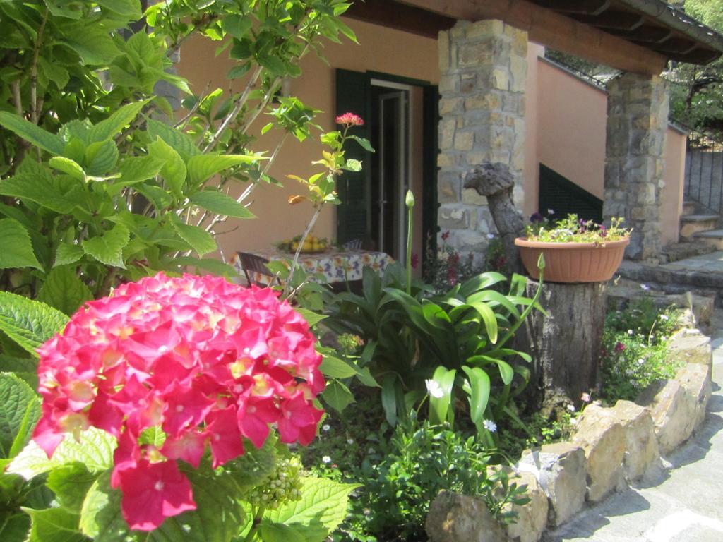 Agriturismo Turlin Vallebona Εξωτερικό φωτογραφία